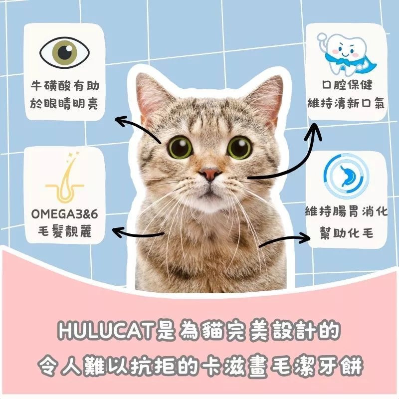 Hulucat 卡滋 化毛配方 潔牙餅 150g 貓零食 貓餅乾 貓餅 潔牙餅 貓咪化毛餅 卡滋化毛潔牙餅