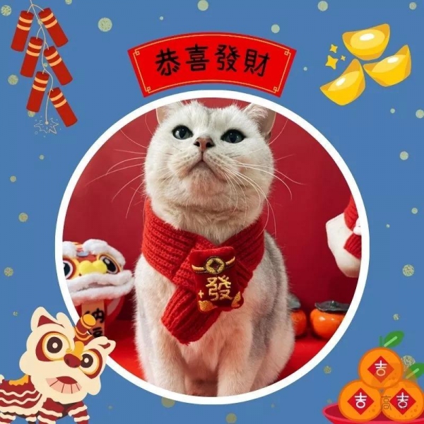 寵物圍巾 過年貓衣服 寵物過年 寵物拜年 過年裝 舞獅頭套 寵物圍巾 寵物新年 貓過年 寵物新年衣服