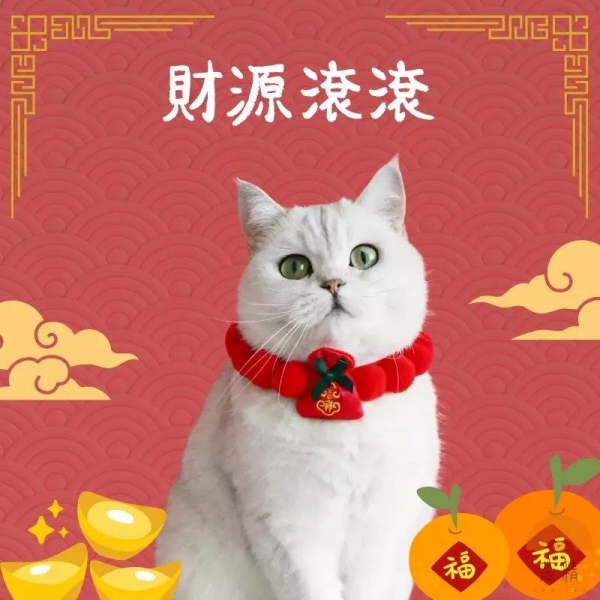 【超可愛球球項圈】寵物項圈 寵物裝飾 編織項圈 手工項圈 狗狗項圈 貓咪項圈 狗項圈 貓項圈 項圈