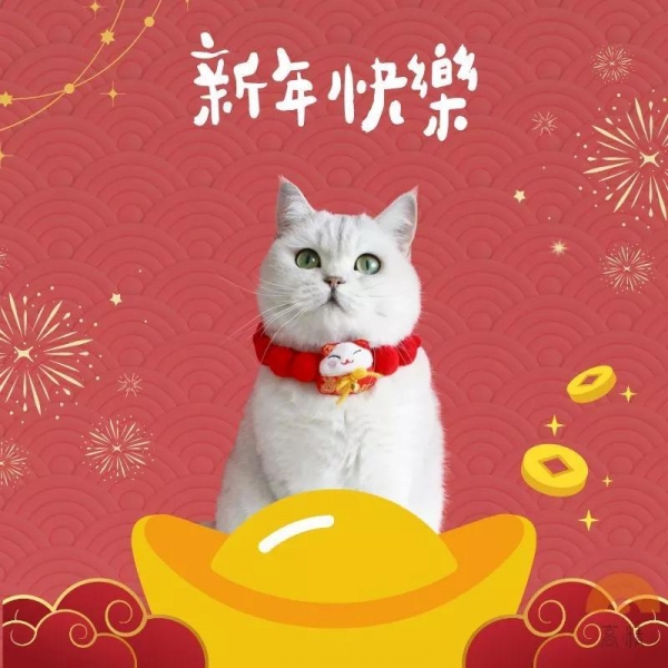 【超可愛球球項圈】寵物項圈 寵物裝飾 編織項圈 手工項圈 狗狗項圈 貓咪項圈 狗項圈 貓項圈 項圈