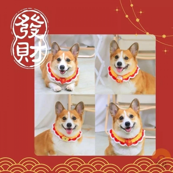 寵物圍脖 寵物裝飾 寵物項圈 寵物圍巾 寵物項圈 貓咪狗狗過年用品 寵物圍脖 中型犬狗狗圍巾