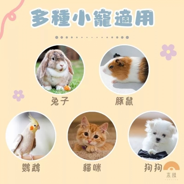 小動物一次性薄膜墊 寵物垃圾袋 寵物用一次性伸縮薄膜 小寵廁所 兔籠用薄膜墊 薄膜套 兔籠薄膜墊 防塵套 伸縮膜