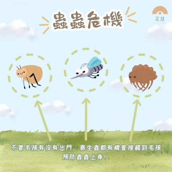 舒活 solano ECO-LIFE 小型犬 防蚤用品 犬用品 天然防蚤滴劑 防蚤滴劑 狗狗防蚤 天然防蚤 滴劑