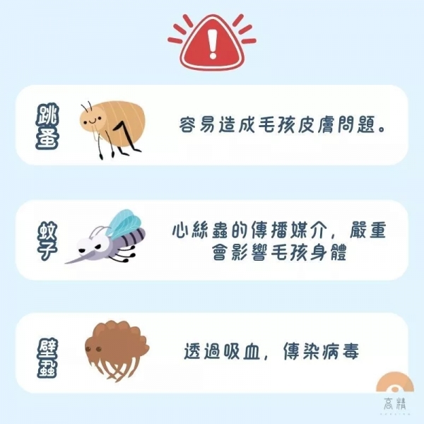舒活 solano ECO-LIFE 小型犬 防蚤用品 犬用品 天然防蚤滴劑 防蚤滴劑 狗狗防蚤 天然防蚤 滴劑