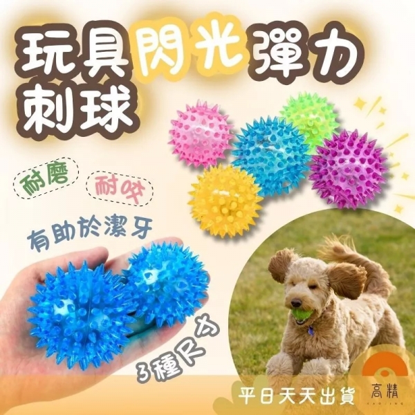 寵物玩具球 寵物閃光