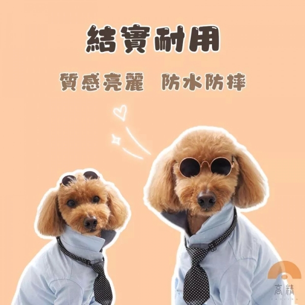 附發票 寵物眼鏡 寵物太陽鏡 寵物護目鏡 寵物攝影用品 貓眼鏡 狗眼鏡 寵物太陽鏡 貓太陽鏡 狗太陽鏡寵物