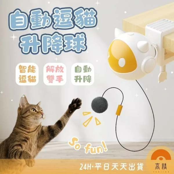 附發票 貓咪玩具 自