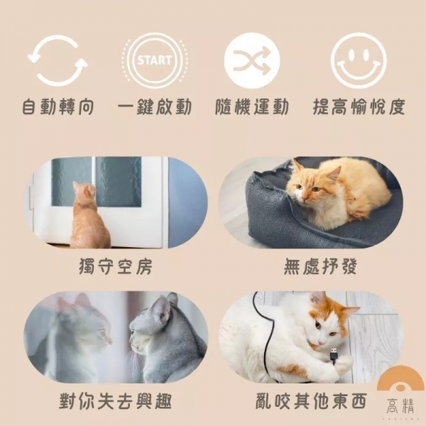 附發票 貓咪玩具 自動逗貓升降球 貓咪玩具球 升降電動玩具球 自動逗貓玩具 貓咪玩具 寵物用品 電動逗貓棒