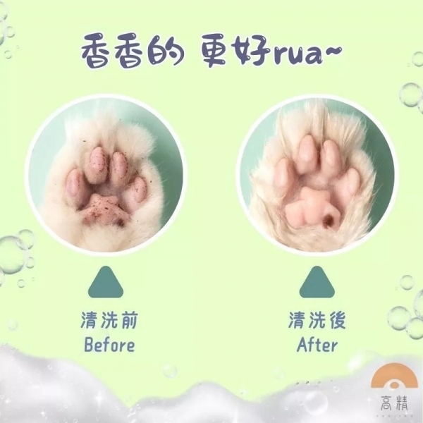 附發票 寵物洗腳杯 寵物用品 清潔用品 狗狗洗腳 寵物洗腳 洗腳器 洗腳杯 寵物清潔 潔足杯 洗爪器