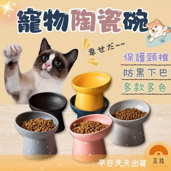 附發票 寵物碗 寵物