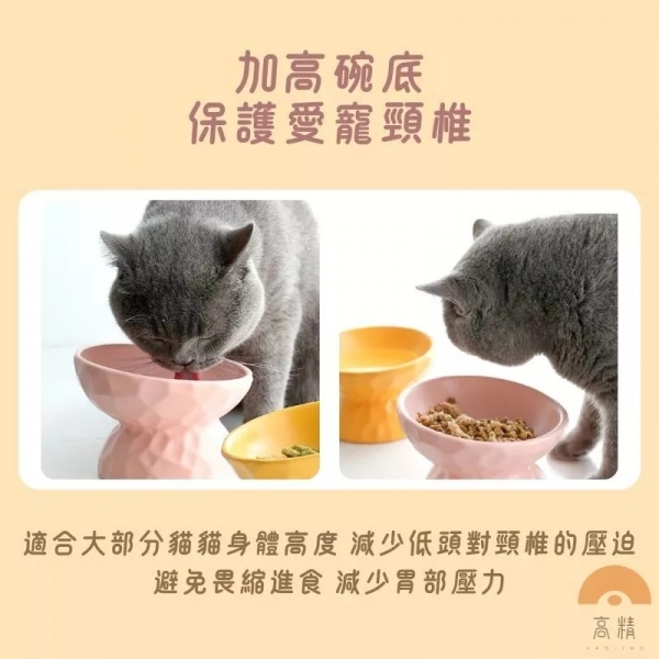 附發票 寵物碗 寵物陶瓷碗 貓碗 寵物斜口碗 陶瓷碗 護頸寵物碗 斜口寵物碗 寵物碗架 狗碗 猫碗