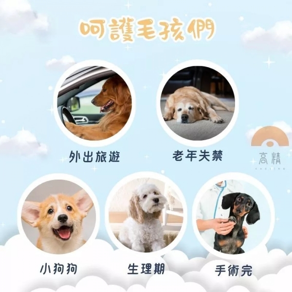 附發票 寵物尿布 公狗禮貌帶 母狗生理褲 狗狗紙尿褲 尿布墊 寵物生理褲 寵物紙尿褲 狗尿褲