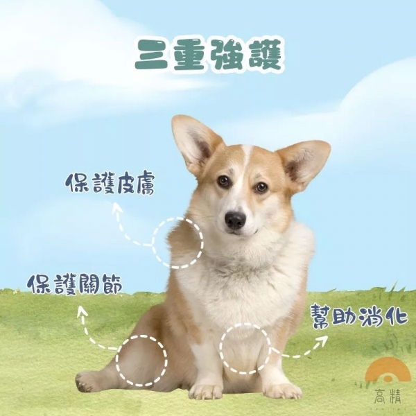 附發票 狗狗雞肉條 狗零食 寵物肉乾 筷子雞肉條 寵物肉條 慧心 柯雞棒 狗肉條 雞肉棒 點心棒 狗零食 狗點心棒