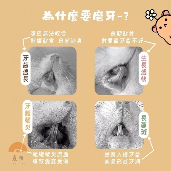 火山岩礦物磨牙石 加鈣磨牙石 鼠兔磨牙石 小寵磨牙石 倉鼠/黃金鼠/三線鼠/天竺鼠/兔子磨牙用品 倉鼠玩具