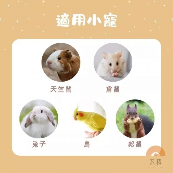火山岩礦物磨牙石 加鈣磨牙石 鼠兔磨牙石 小寵磨牙石 倉鼠/黃金鼠/三線鼠/天竺鼠/兔子磨牙用品 倉鼠玩具