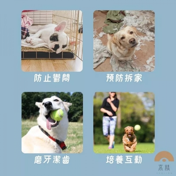 網球 寵物網球 練習網球 狗狗網球 寵物玩具 寵物玩具球 寵物耐咬球