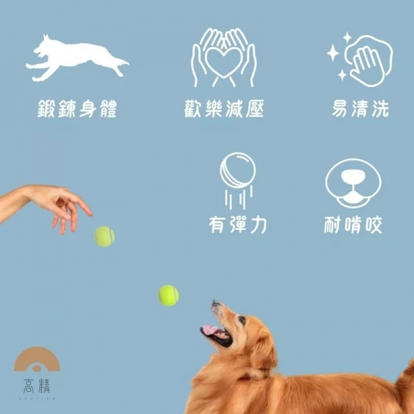 網球 寵物網球 練習網球 狗狗網球 寵物玩具 寵物玩具球 寵物耐咬球