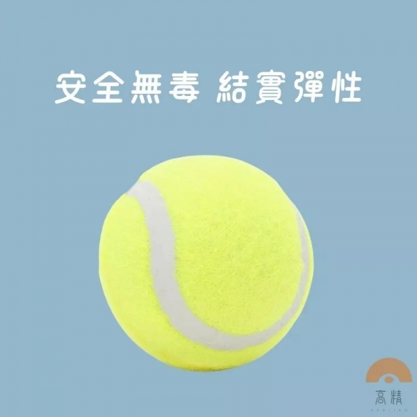 網球 寵物網球 練習網球 狗狗網球 寵物玩具 寵物玩具球 寵物耐咬球