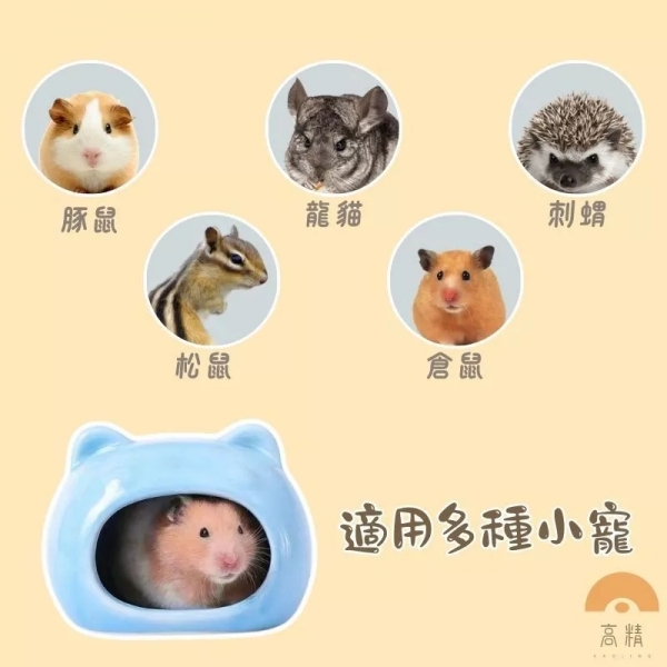 倉鼠陶瓷窩 (貓頭款) 倉鼠用品 倉鼠躲避屋 倉鼠陶瓷屋 倉鼠睡窩 貓型陶瓷窩 消暑聖品 倉鼠家 小寵睡窩