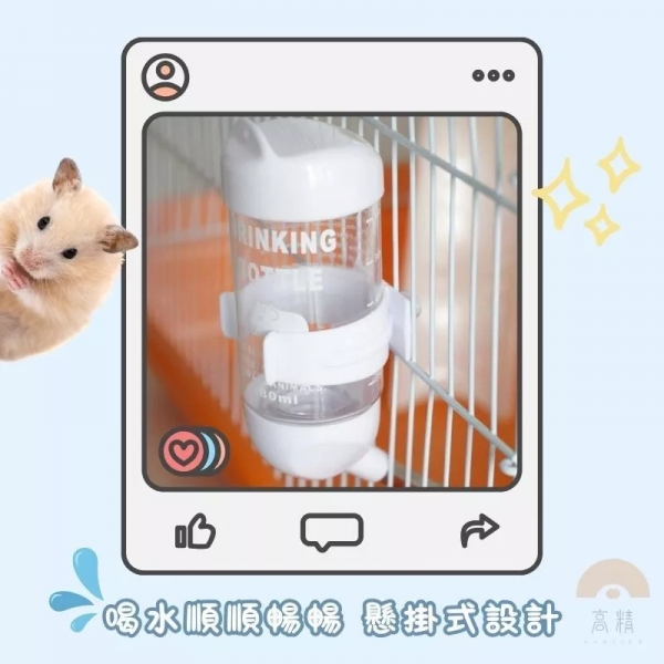 倉鼠飲水器 飲水器 寵物飲水器 倉鼠水樽 倉鼠喝水器 老鼠 倉鼠飲水 倉鼠喝水 倉鼠水瓶
