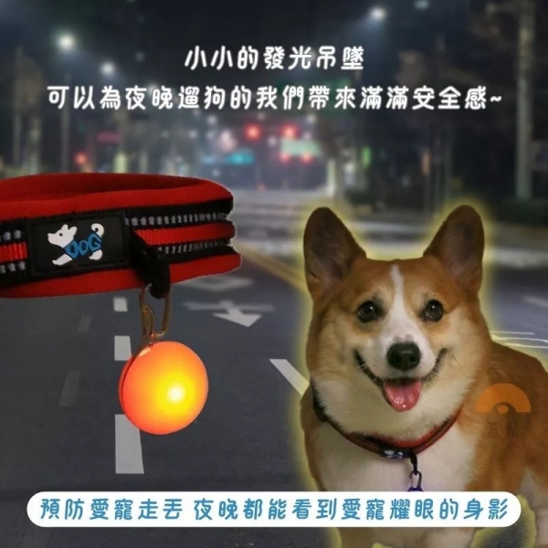 LED發光吊墜 寵物項圈 發光狗吊墜 發光狗牌 寵物吊飾 狗狗閃光吊牌 寵物led吊墜