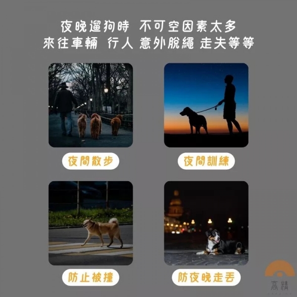 LED發光吊墜 寵物項圈 發光狗吊墜 發光狗牌 寵物吊飾 狗狗閃光吊牌 寵物led吊墜