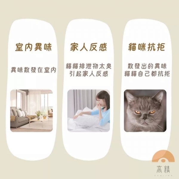 除臭珠 貓砂除臭珠 礦晶消臭珠 貓砂除臭 貓砂消臭珠 除臭晶體 活性炭 貓砂盆除臭 貓砂除臭 松木砂 豆腐砂 細砂 紙砂