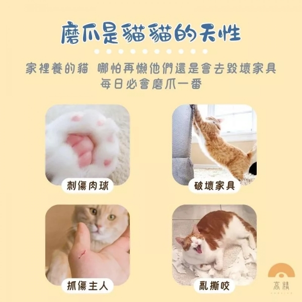 附發票 貓抓板 貓抓板替換芯 貓抓碗 貓抓板 貓抓窩 圓形貓抓板 貓抓盆 可替換內芯 貓窩 貓咪用品 寵物用品