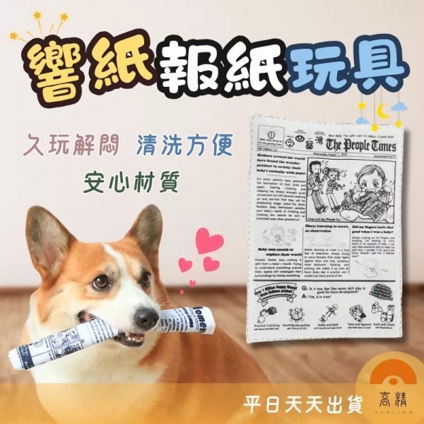 附發票 寵物玩具 響