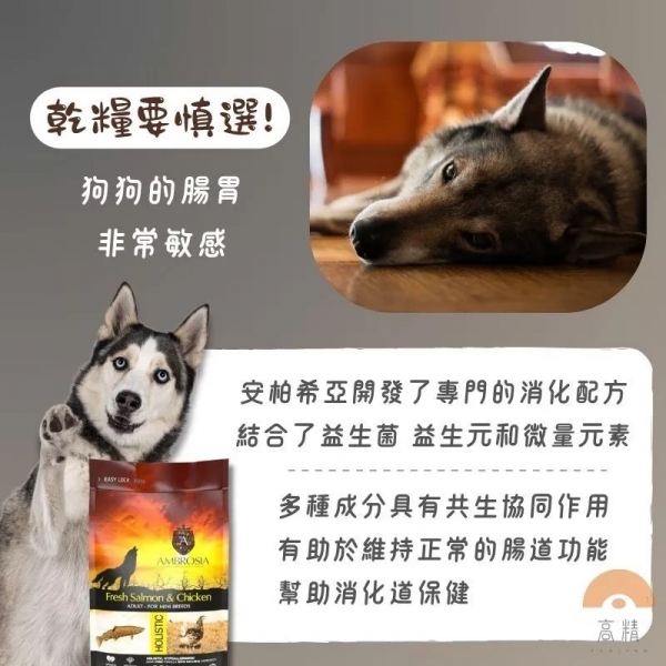 安柏希雅Ambrosia 2kg 無穀鮮肉犬糧 小型犬飼料 幼犬飼料 寵物飼料 新鮮健康犬糧 狗狗飼料 無穀狗飼料