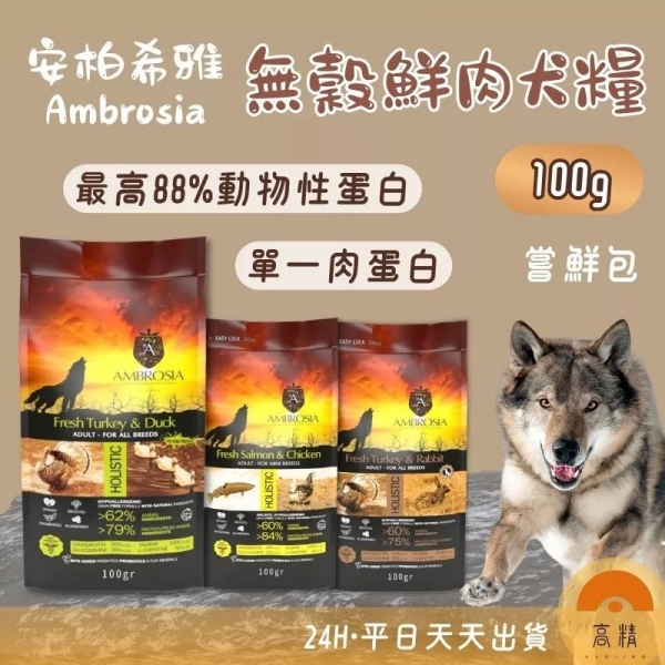 安柏希雅Ambros