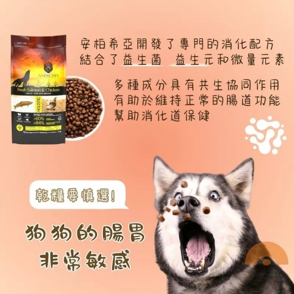 安柏希雅Ambrosia 100g 無穀鮮肉犬糧 狗狗飼料 無穀狗飼料 小型犬 幼犬飼料 安柏希雅飼 寵物飼料 新鮮健康