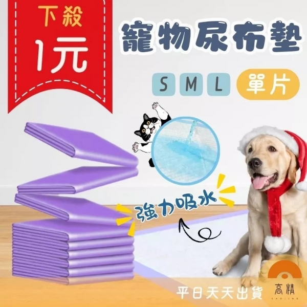 寵物尿布墊 狗尿墊 