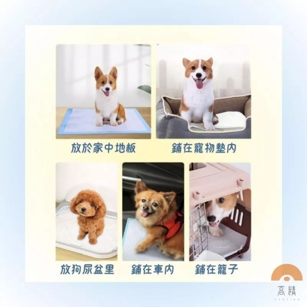 寵物尿布墊 狗尿墊 單片特賣 狗尿布墊寵物 尿布 尿布墊 寵物尿布墊 孕婦墊 產墊 尿墊 拋棄式產墊 寶寶尿布墊
