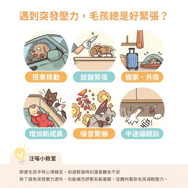 汪喵星球 保健品隨手包 紓壓胺基酸 軟便剋星 呼吸道保健 舒緩焦慮 貓狗保健食品 膳食纖維 寵物保健品