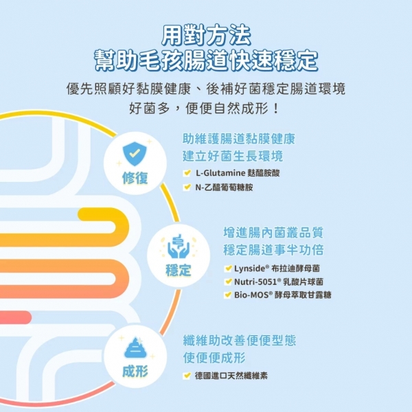 汪喵星球 保健品隨手包 紓壓胺基酸 軟便剋星 呼吸道保健 舒緩焦慮 貓狗保健食品 膳食纖維 寵物保健品