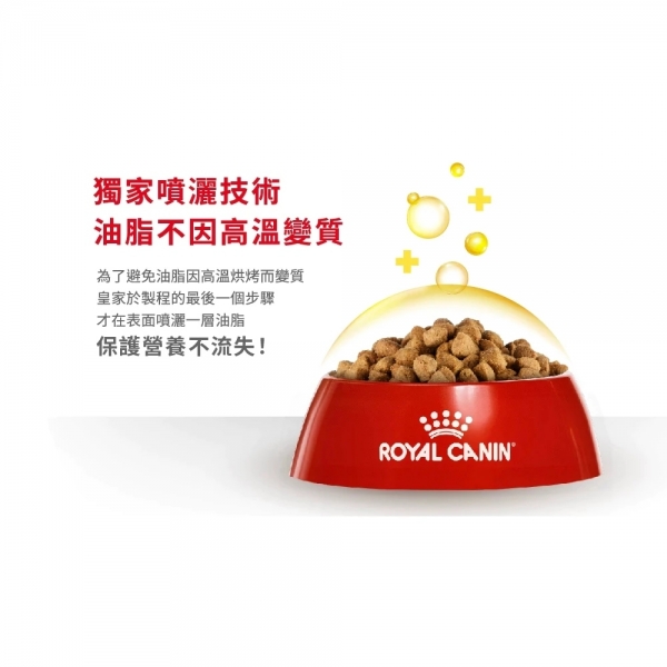 皇家ROYAL CANIN 法國皇家 貓飼料 貓糧 乾貓糧 貓飼料推薦 挑嘴貓飼料 貓主食糧 進口飼料 機能配方飼料