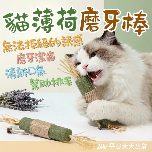 貓薄荷磨牙棒 貓薄荷棒 啃咬棒 貓薄荷 蟲癭果 貓咪牙棒 貓自嗨玩具 木天蓼 貓咪磨牙棒